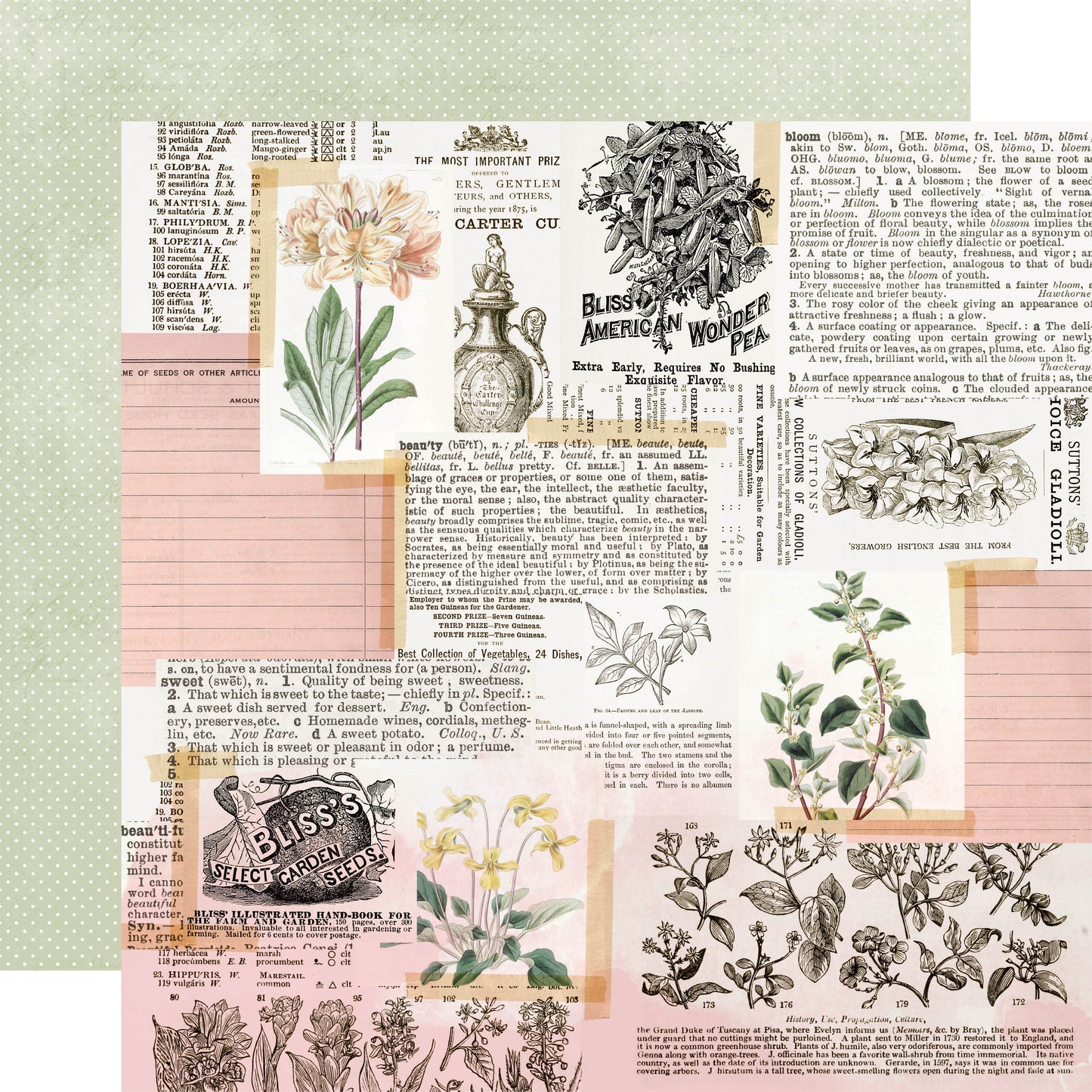SV Indigo Garden - Little Details