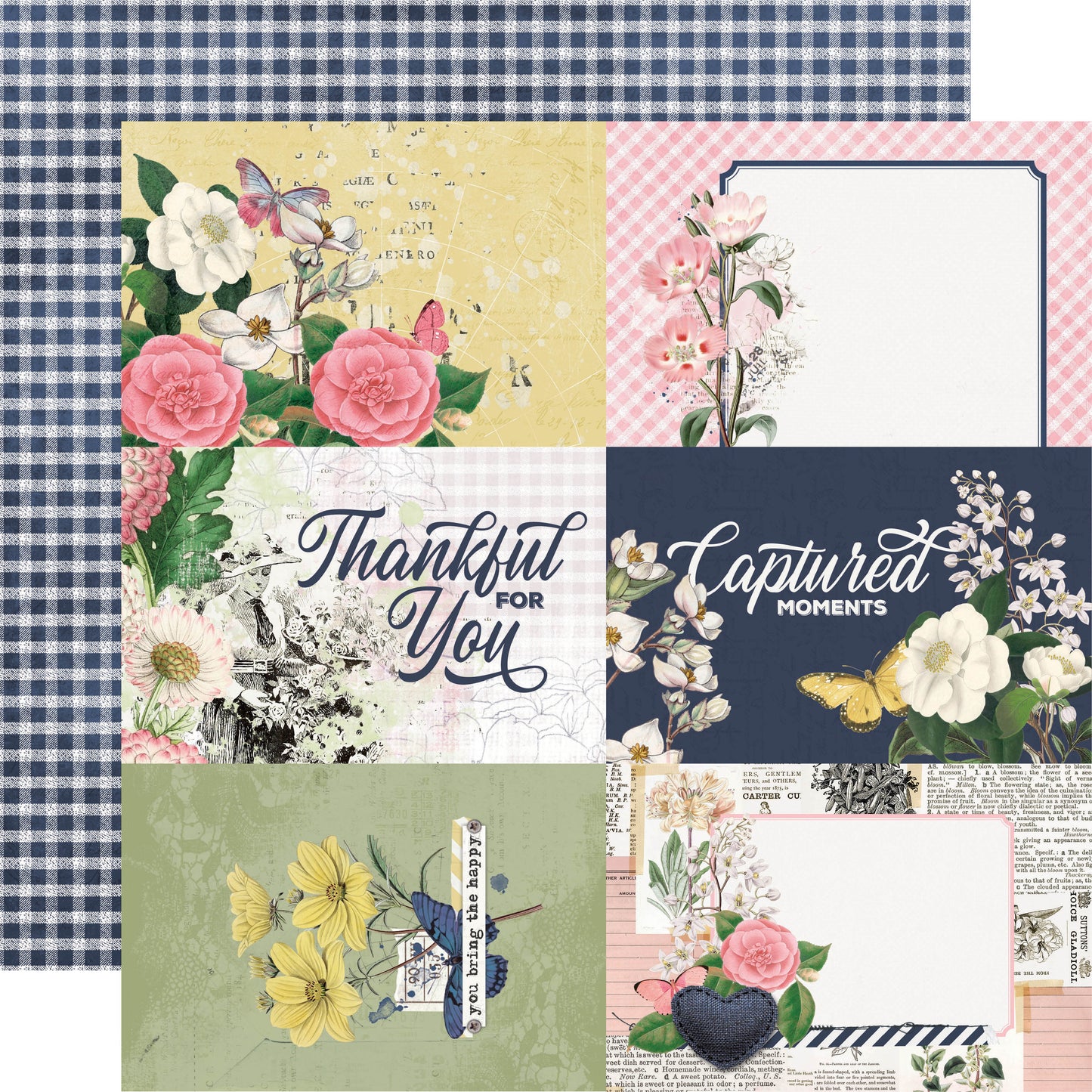 SV Indigo Garden - 4 x 6 Elements
