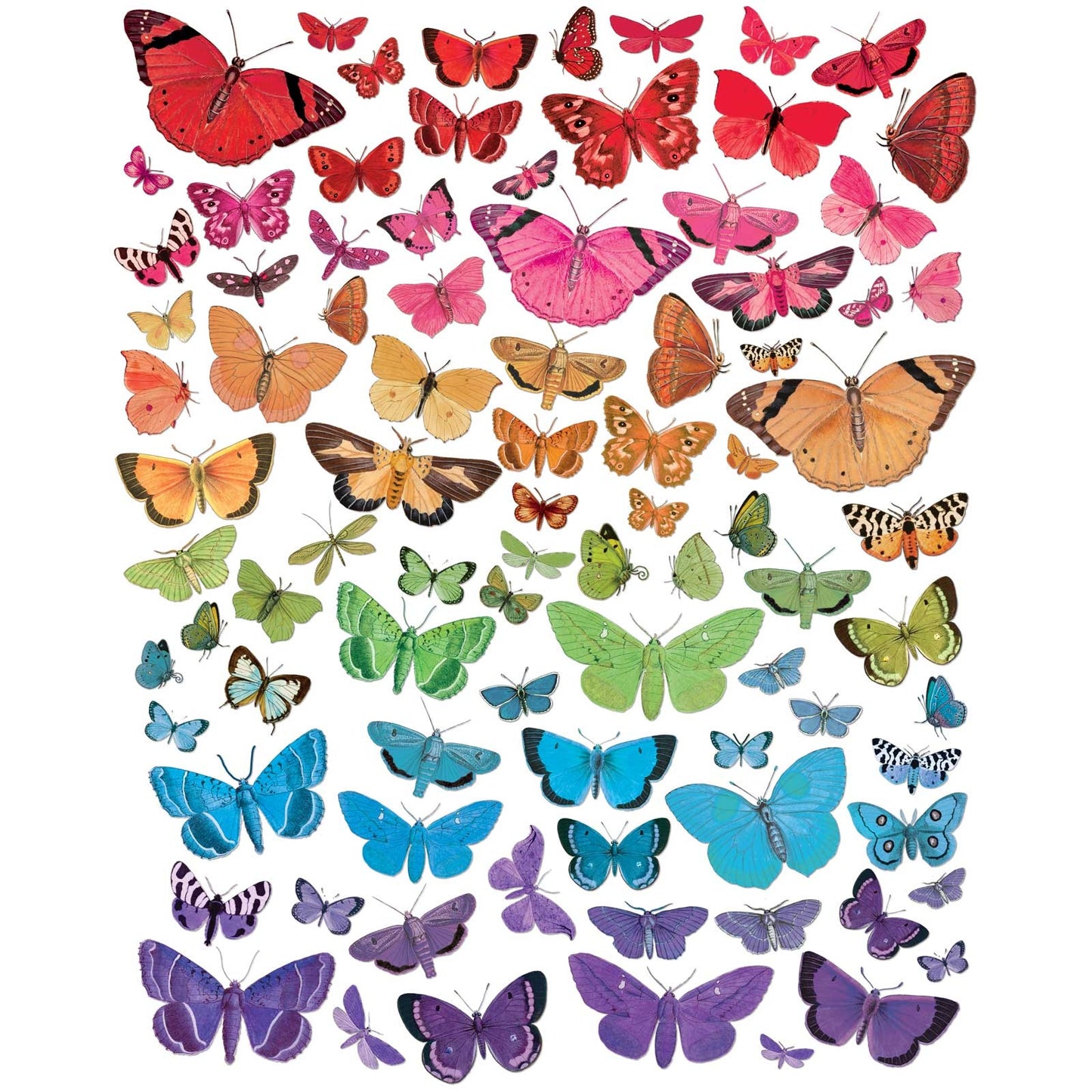 Spectrum Gardenia Butterfly Laser Cut Elements