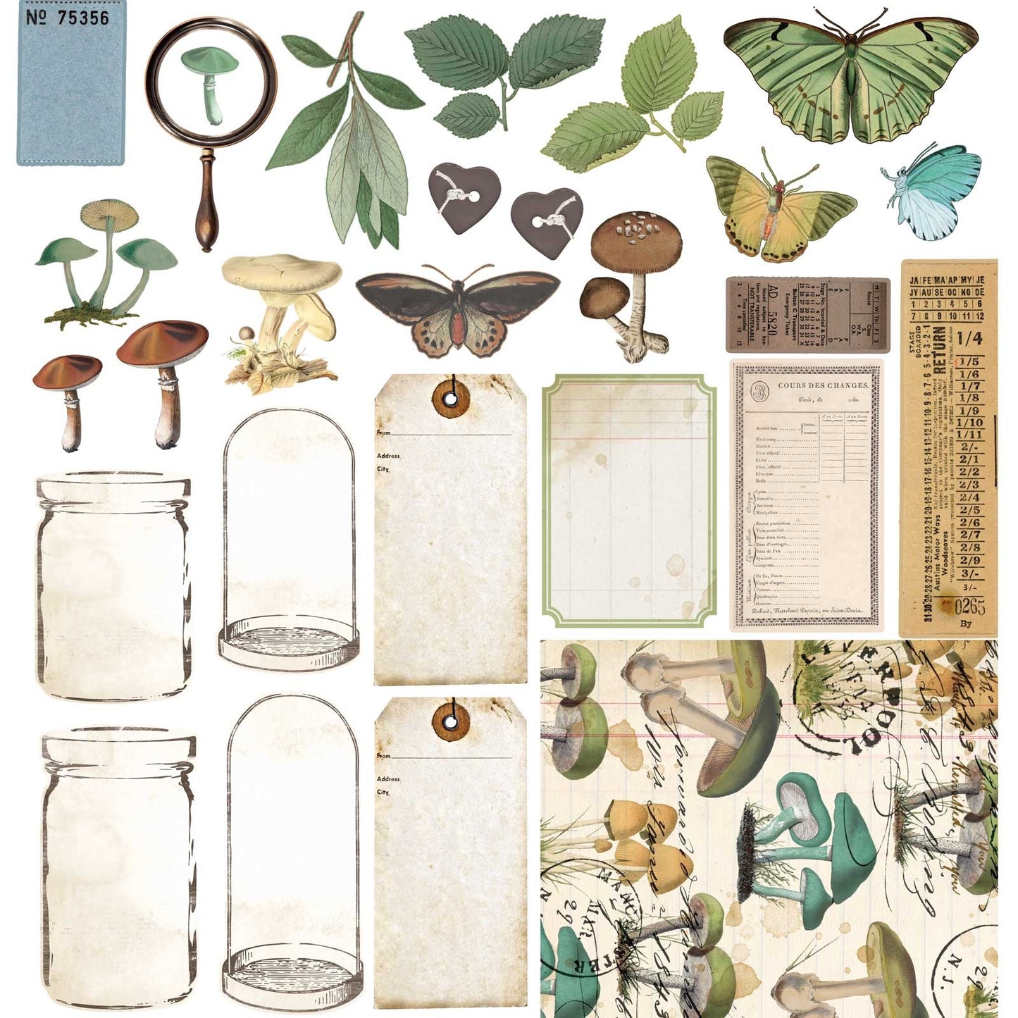 Nature Study - Collection Pack