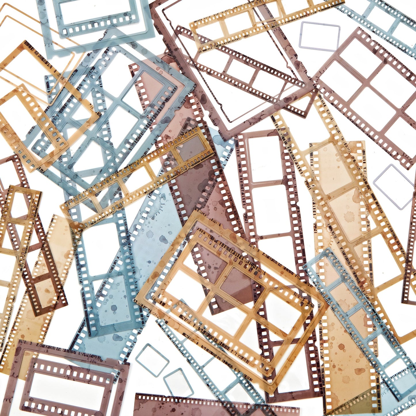 Nature Study Acetate Filmstrip Frames