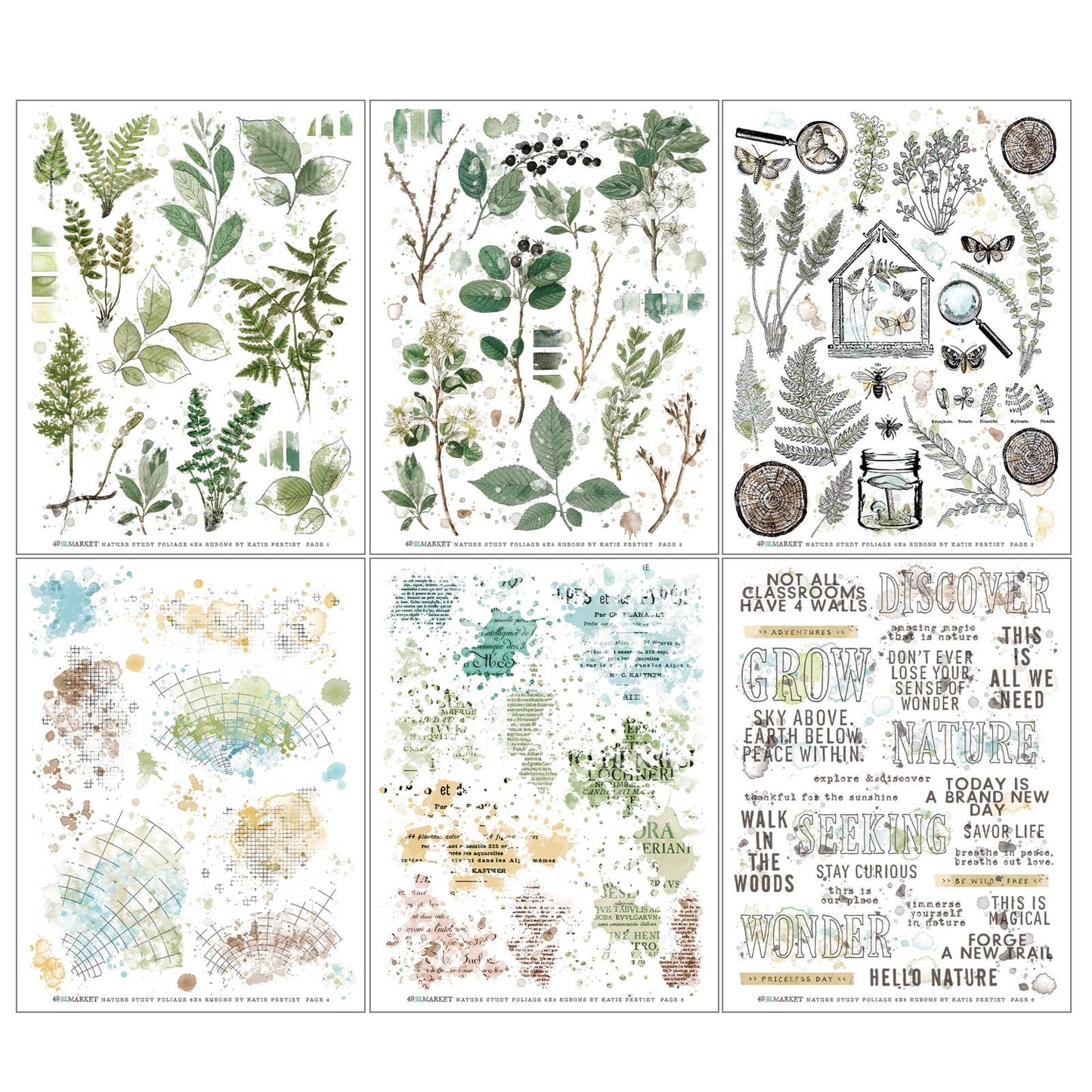Nature Study Rub Ons - Foliage