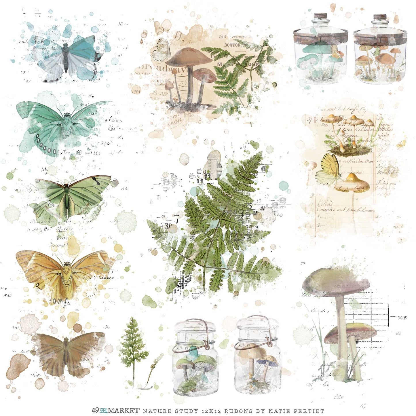 Nature Study 12x12 Rub Ons