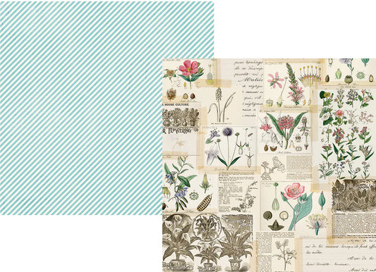 Simple Vintage Botanicals - Collect Moments