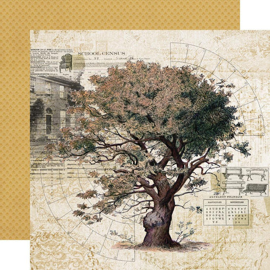 SV Ancestry - Family Tree