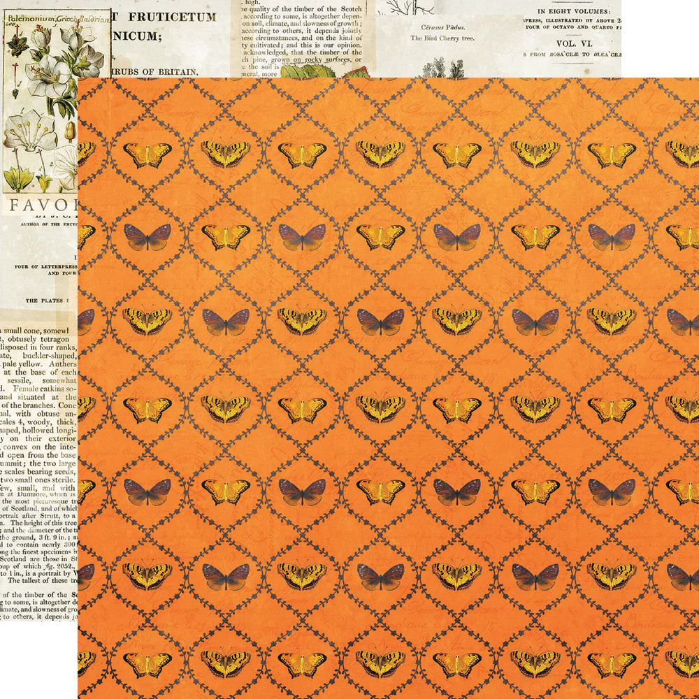 Simple Vintage Country Harvest - Nature's Wonder