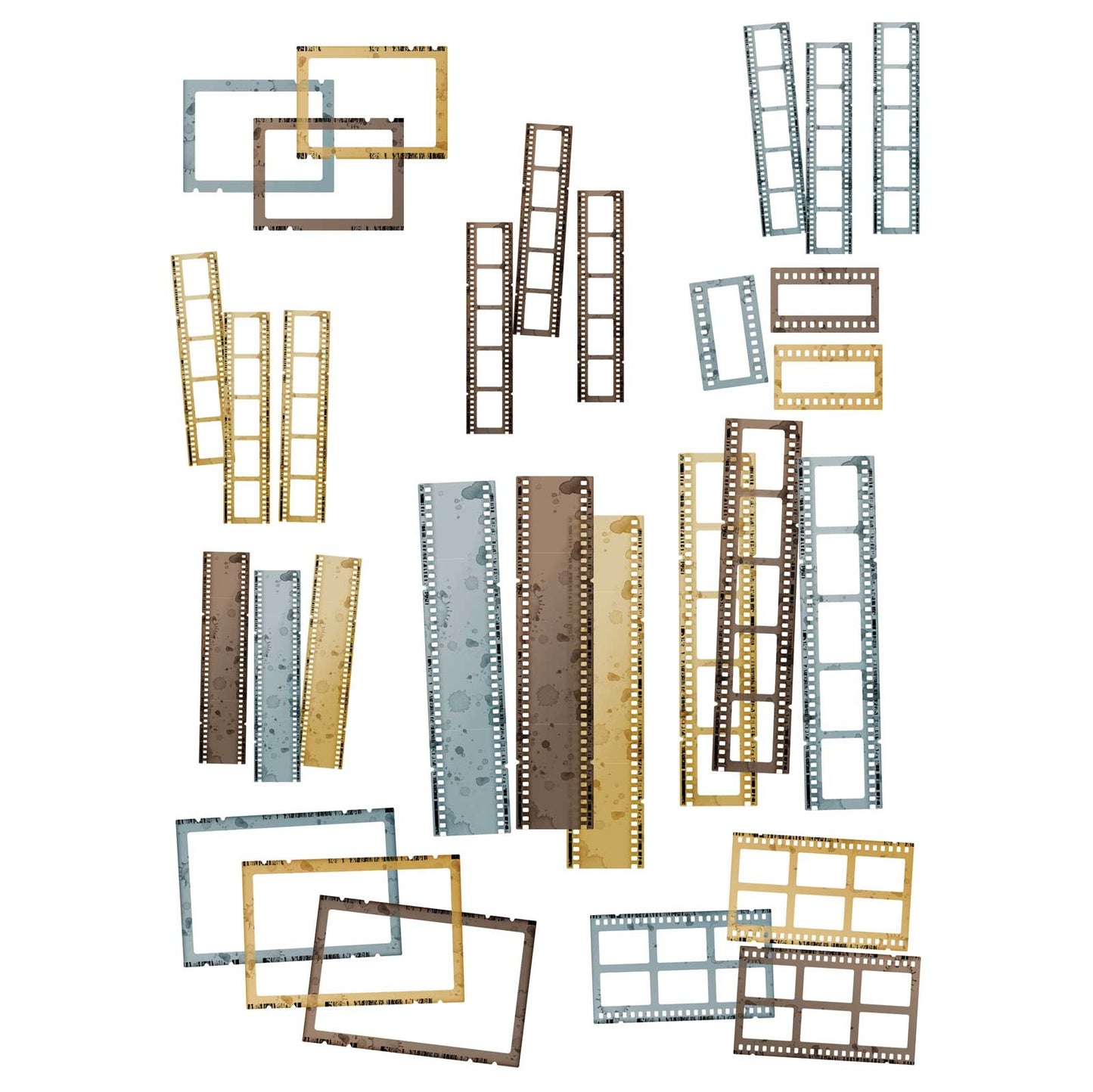 Nature Study Acetate Filmstrip Frames
