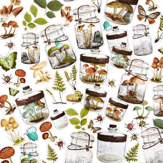 Nature Study - Acetate Shapes - Specimen