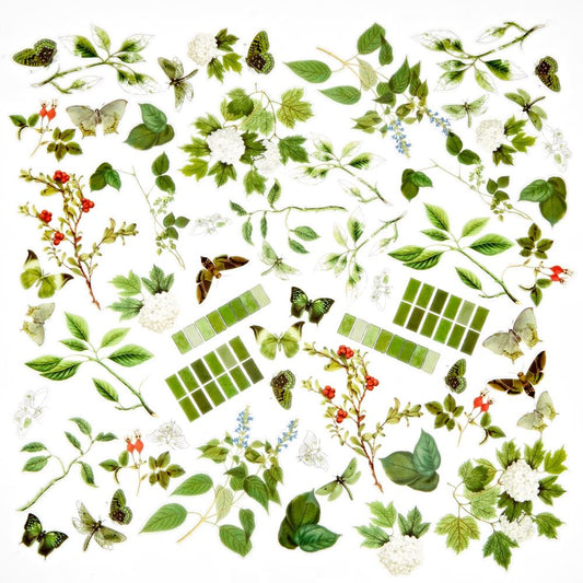 Color Swatch Willow - Acetate Assortment