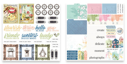 Field Notes - Ephemera Pack