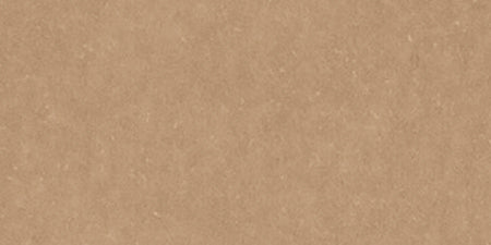 AC Cardstock Caramel